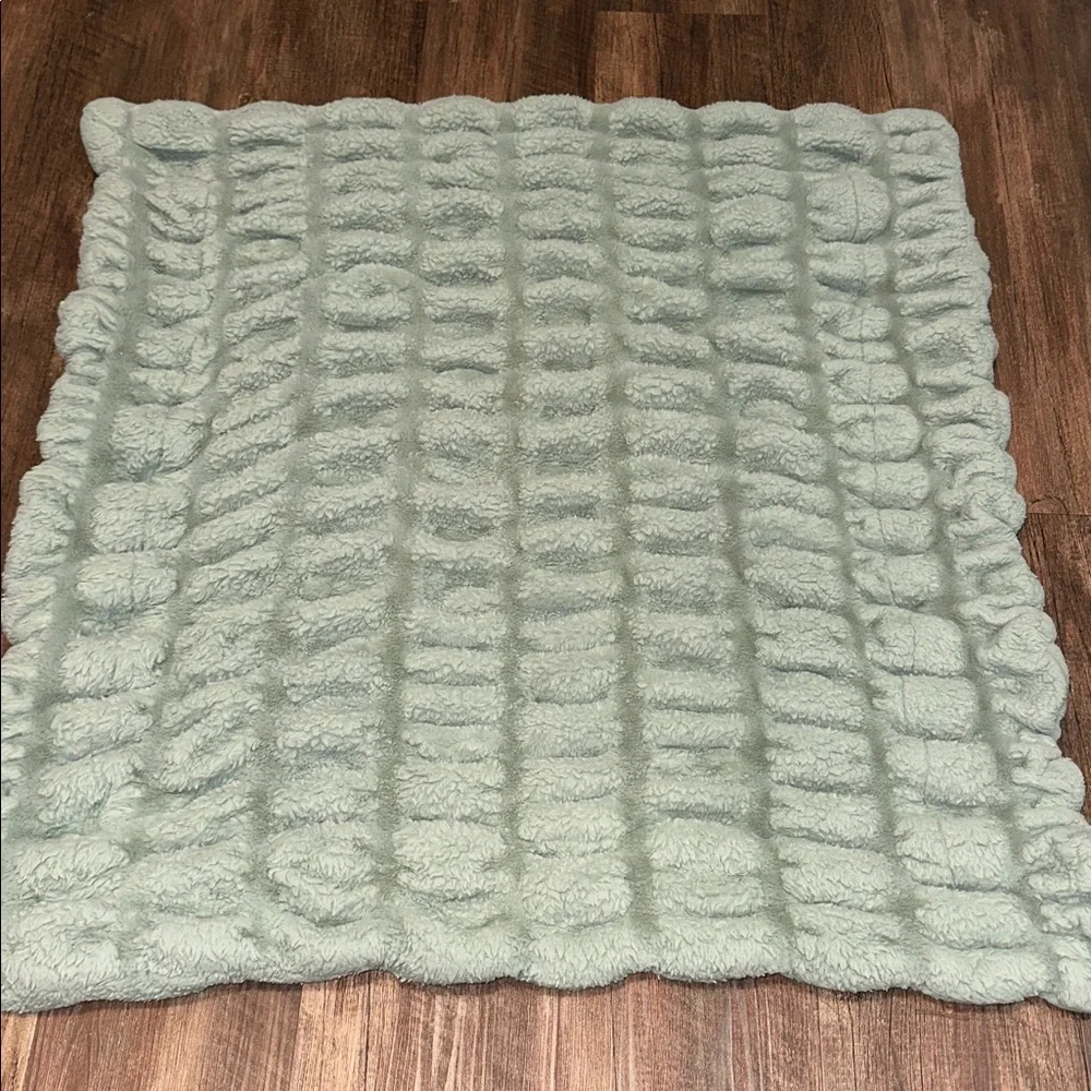 Minky Couture Hugs, Mist, Infant Size Sage‎ Green